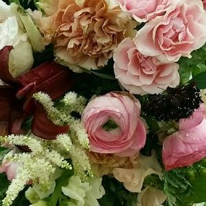 Meet your Posher, Johanna